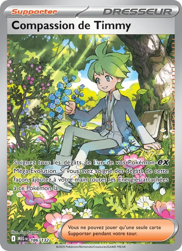 Carte Pokémon Compassion de Timmy 186/132 — Méga-Évolution