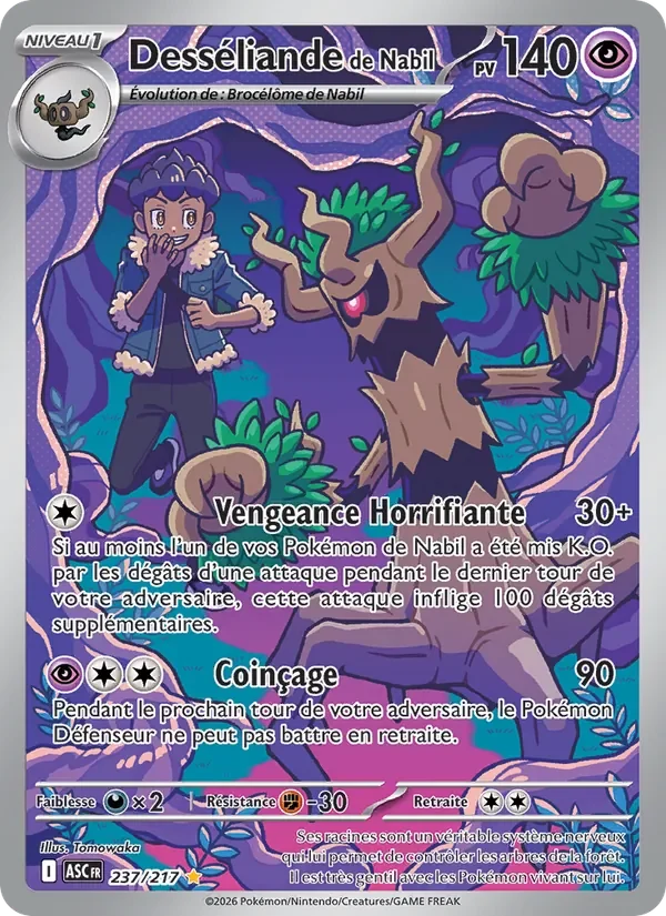 Carte Pokémon Desséliande de Nabil 237/295 — Héros Transcendants