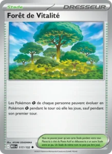 Carte Pokémon Forêt de Vitalité 117/132 — Méga-Évolution