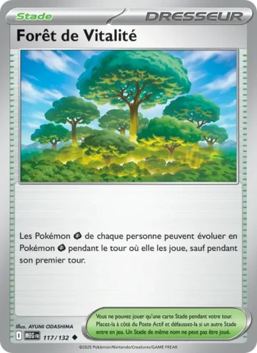 Carte Pokémon Forêt de Vitalité 117/132, extension Méga-Évolution