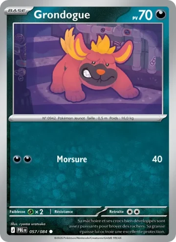 Carte Pokémon Grondogue 057/084, extension Nuit Noire