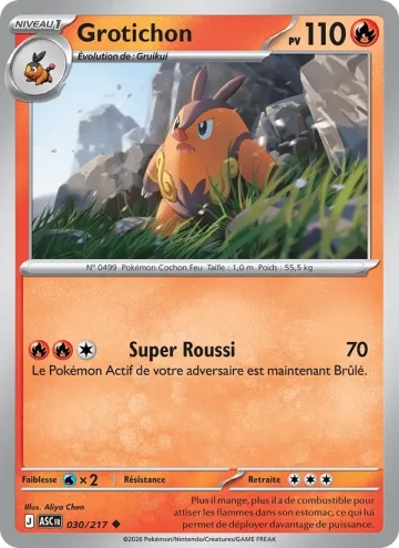 Carte Pokémon Grotichon 030/217, extension Héros Transcendants