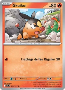 Carte Pokémon Gruikui 029/295 — Héros Transcendants