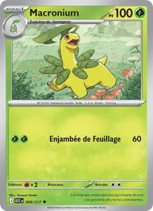 Carte Pokémon Macronium 009/295 — Héros Transcendants