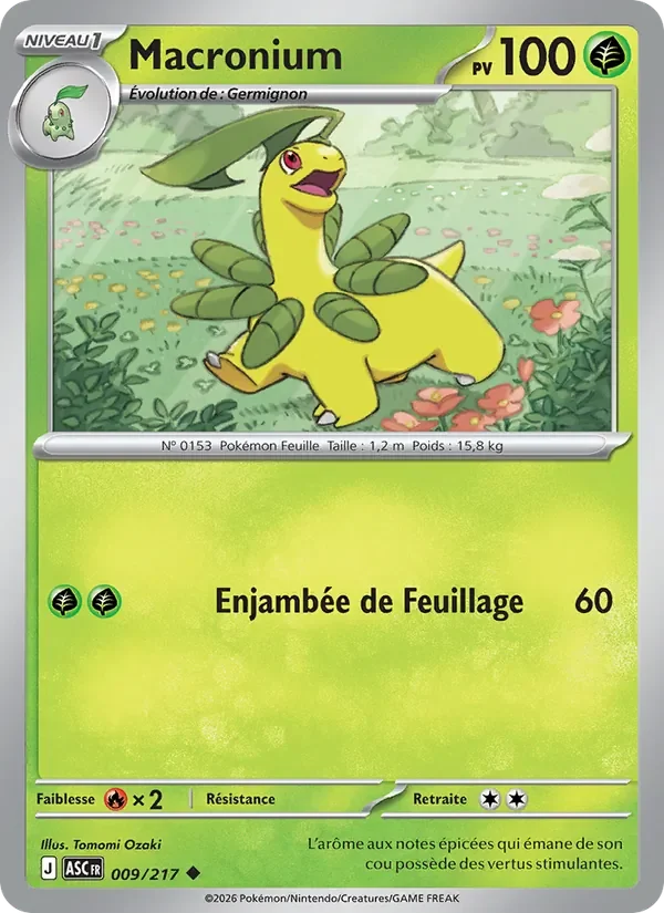 Carte Pokémon Macronium 009/295 — Héros Transcendants