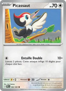 Carte Pokémon Picassaut 066/120 — Nuit Noire