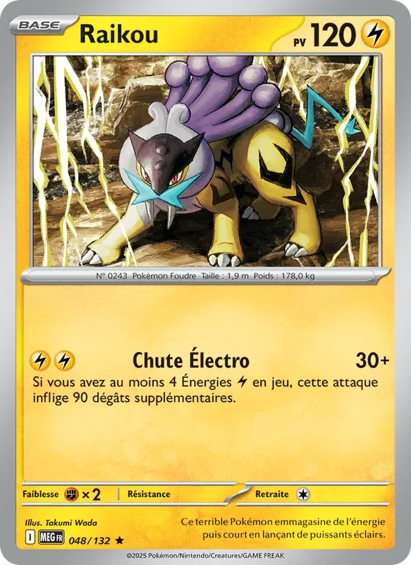 Carte Pokémon Raikou 048/132 — Méga-Évolution