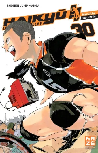 Couverture du manga Haikyū !! Tome 30, « Amour déçu »