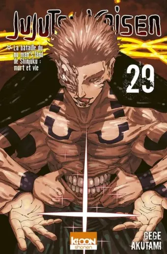 Couverture du manga Jujutsu kaisen Tome 29, « La bataille du no man's land de Shinjuku »