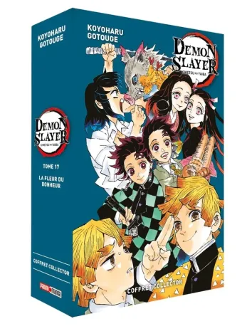 Couverture du manga Demon slayer – kimetsu no yaiba Tome 17