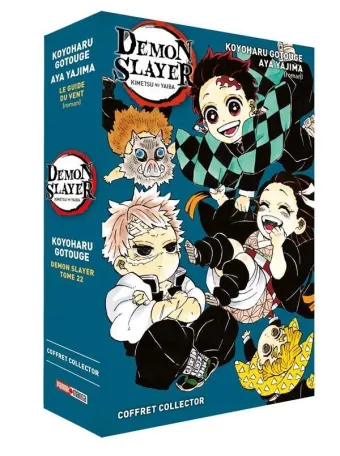 Couverture du manga Demon slayer – kimetsu no yaiba Tome 22
