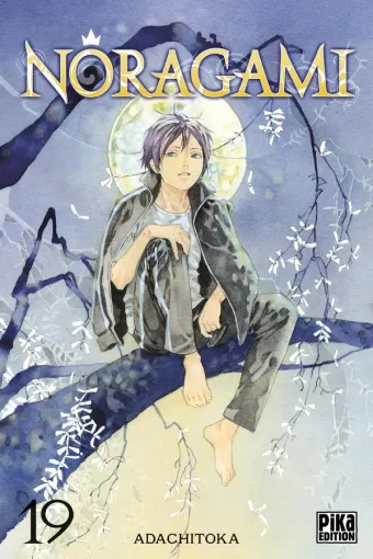 Couverture du manga Noragami Tome 19