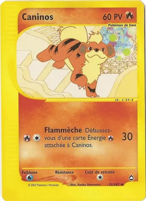 Carte Pokémon Caninos 051/147, extension Aquapolis