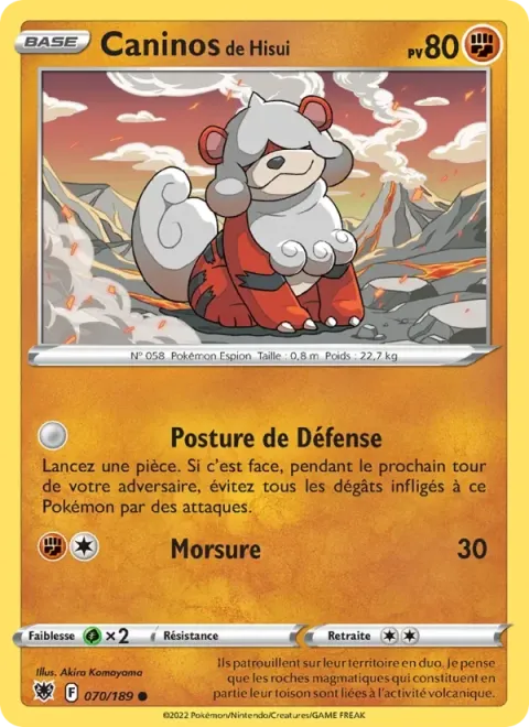 Carte Pokémon Caninos de Hisui 070/189, extension Astres Radieux