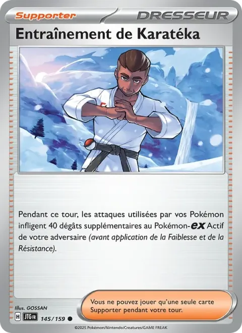 Carte Pokémon Entraînement de Karatéka 145/159, extension Aventures Ensemble