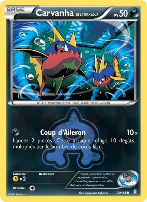 Carte Pokémon Carvanha de la Team Aqua 020/034, extension Double Danger