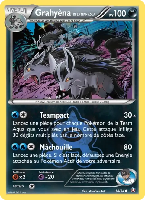 Carte Pokémon Grahyèna de la Team Aqua 018/034, extension Double Danger