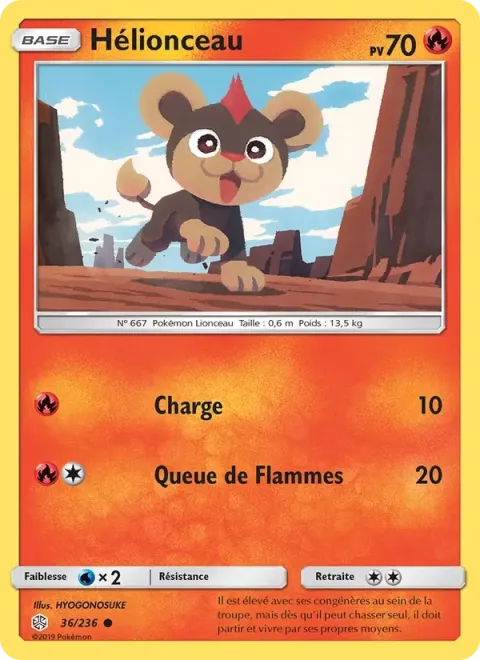 Carte Pokémon Hélionceau 036/236, extension Éclipse Cosmique