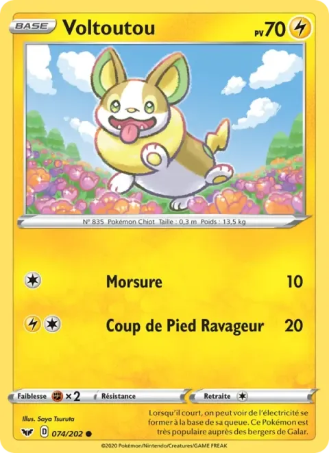 Carte Pokémon Voltoutou 074/202, extension Épée et Bouclier