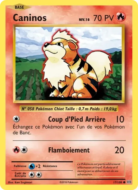 Carte Pokémon Caninos 017/108, extension Évolutions