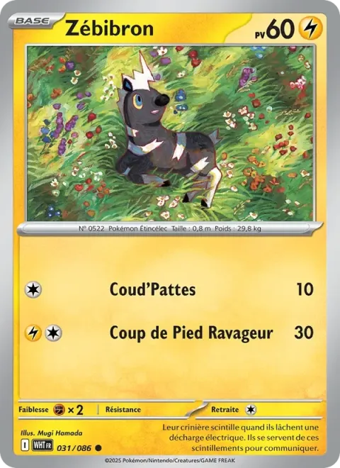 Carte Pokémon Zébibron 031/086, extension Flamme Blanche