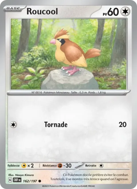 Carte Pokémon Roucool 162/197, extension Flammes Obsidiennes