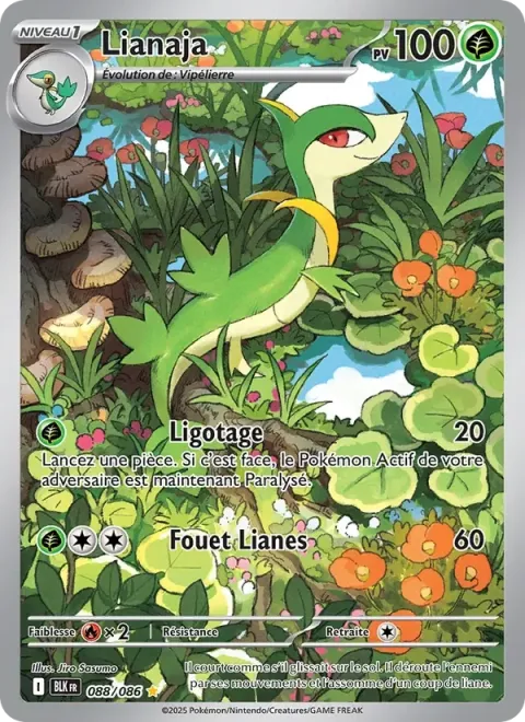Carte Pokémon Lianaja 088/086, extension Foudre Noire