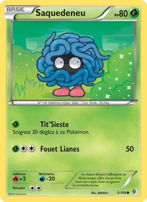 Carte Pokémon Saquedeneu 005/149, extension Frontières Franchies