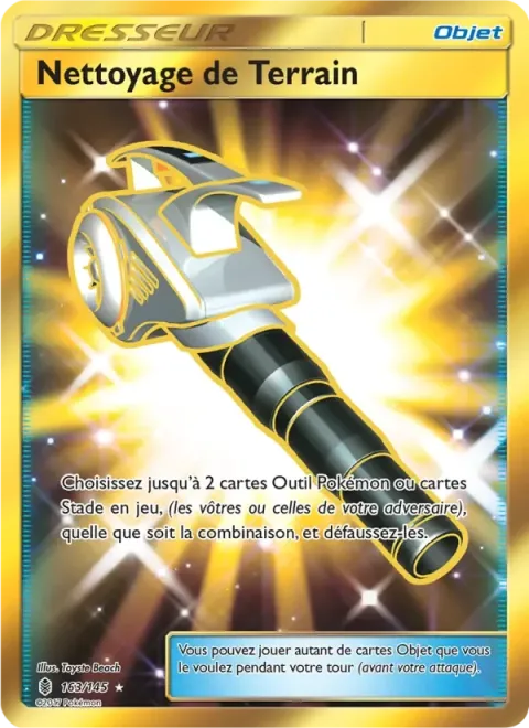 Carte Pokémon Nettoyage de Terrain 163/145, extension Gardiens Ascendants