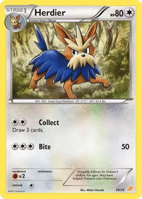 Carte Pokémon Ponchien 019/030, extension BW Kit du dresseur (Minitaupe)