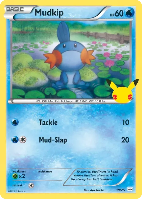 Carte Pokémon Gobou 019/025, extension Collection McDonald's 2021