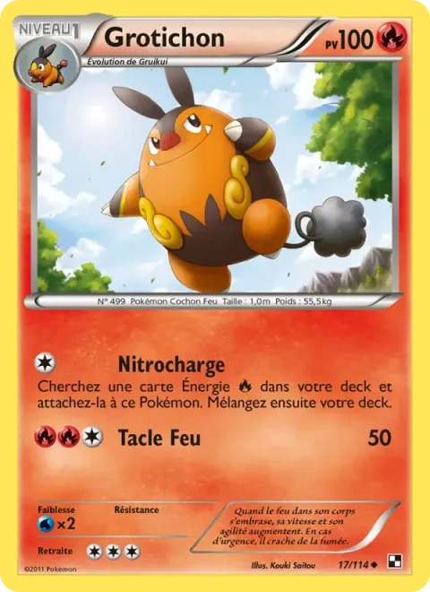 Carte Pokémon Grotichon 017/114, extension Noir & Blanc