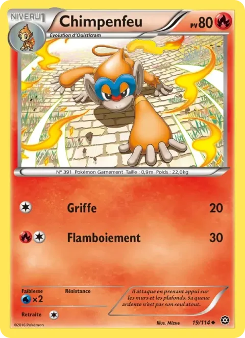 Carte Pokémon Chimpenfeu 019/114, extension Offensive Vapeur
