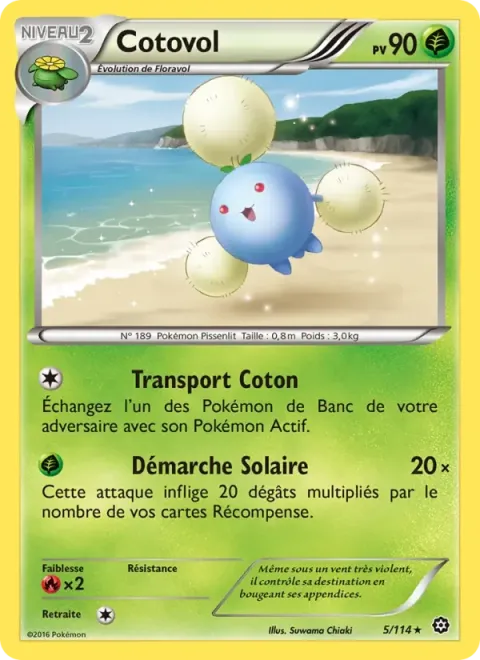 Carte Pokémon Cotovol 005/114, extension Offensive Vapeur