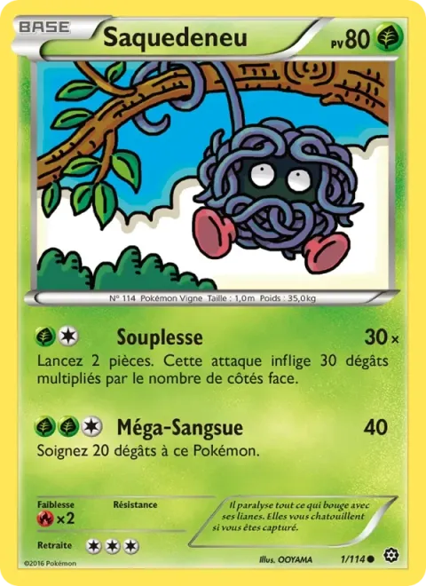 Carte Pokémon Saquedeneu 001/114, extension Offensive Vapeur