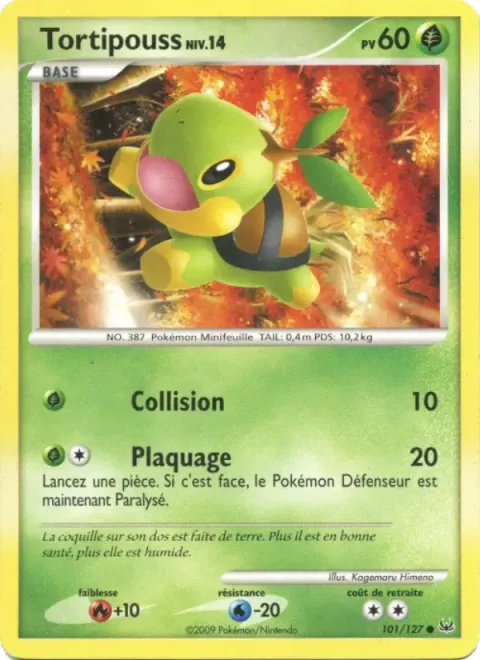 Carte Pokémon Tortipouss 101/127, extension Platine