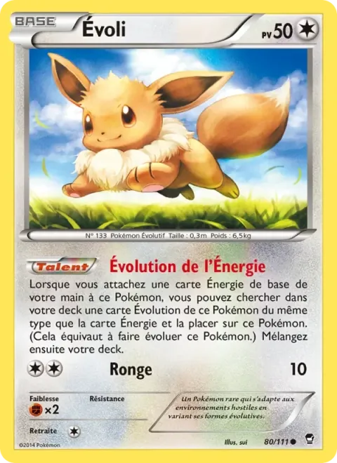 Carte Pokémon Évoli 080/111, extension Poings Furieux