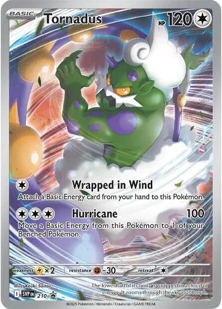 Carte Pokémon Boréas 210, extension SVP Black Star Promos