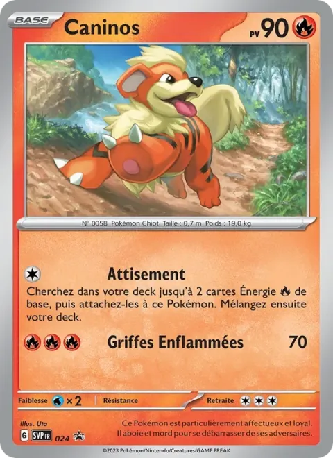 Carte Pokémon Caninos 024, extension SVP Black Star Promos