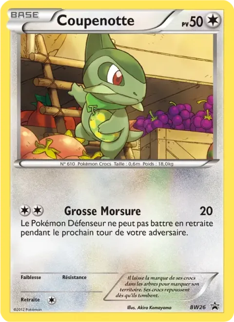 Carte Pokémon Coupenotte BW26, extension Promo BW
