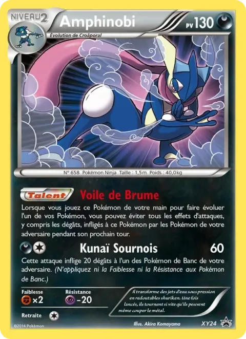 Carte Pokémon Amphinobi XY24, extension Promo XY