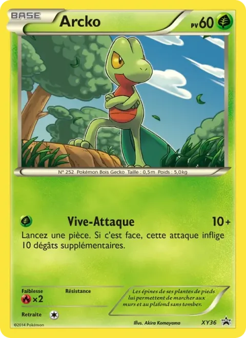 Carte Pokémon Arcko XY36, extension Promo XY