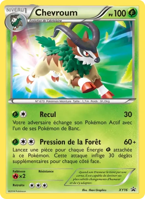 Carte Pokémon Chevroum XY16, extension Promo XY