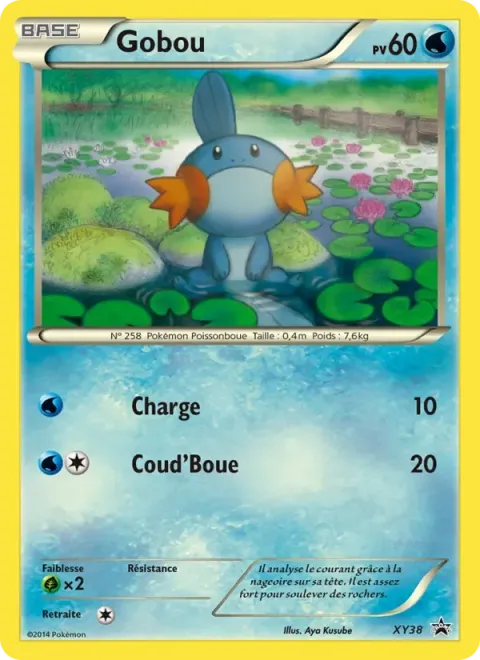 Carte Pokémon Gobou XY38, extension Promo XY