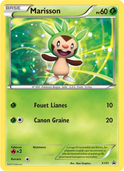 Carte Pokémon Marisson XY01, extension Promo XY