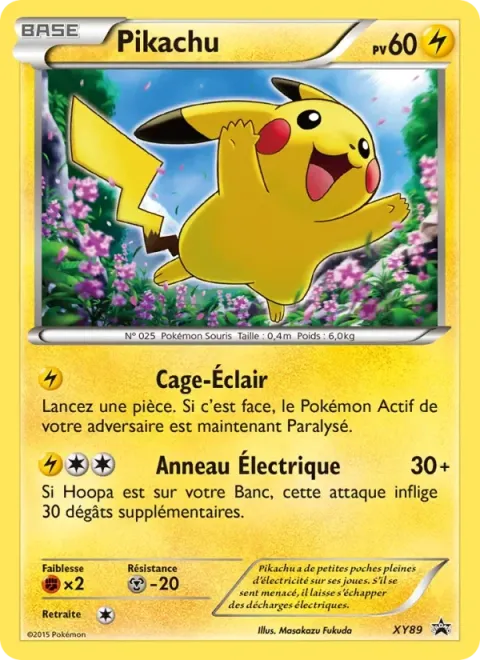 Carte Pokémon Pikachu XY89, extension Promo XY