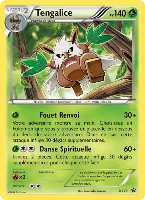 Carte Pokémon Tengalice XY23, extension Promo XY