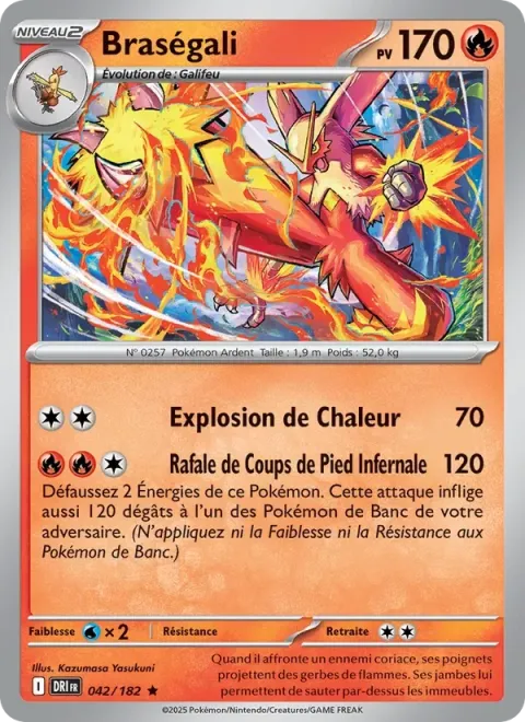 Carte Pokémon Braségali 042/182, extension Rivalités Destinées