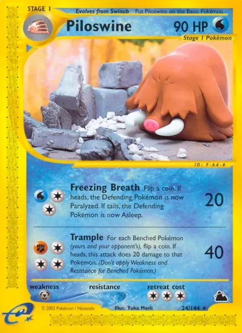 Carte Pokémon Cochignon 024/144, extension Skyridge (sortie anglaise)