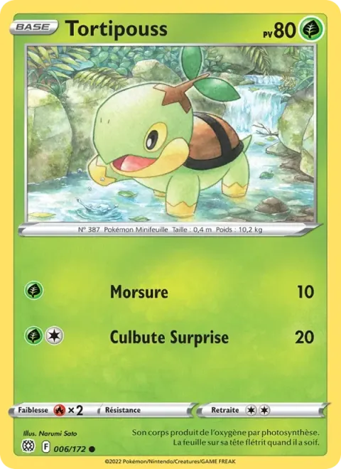 Carte Pokémon Tortipouss 006/172, extension Stars Étincelantes
